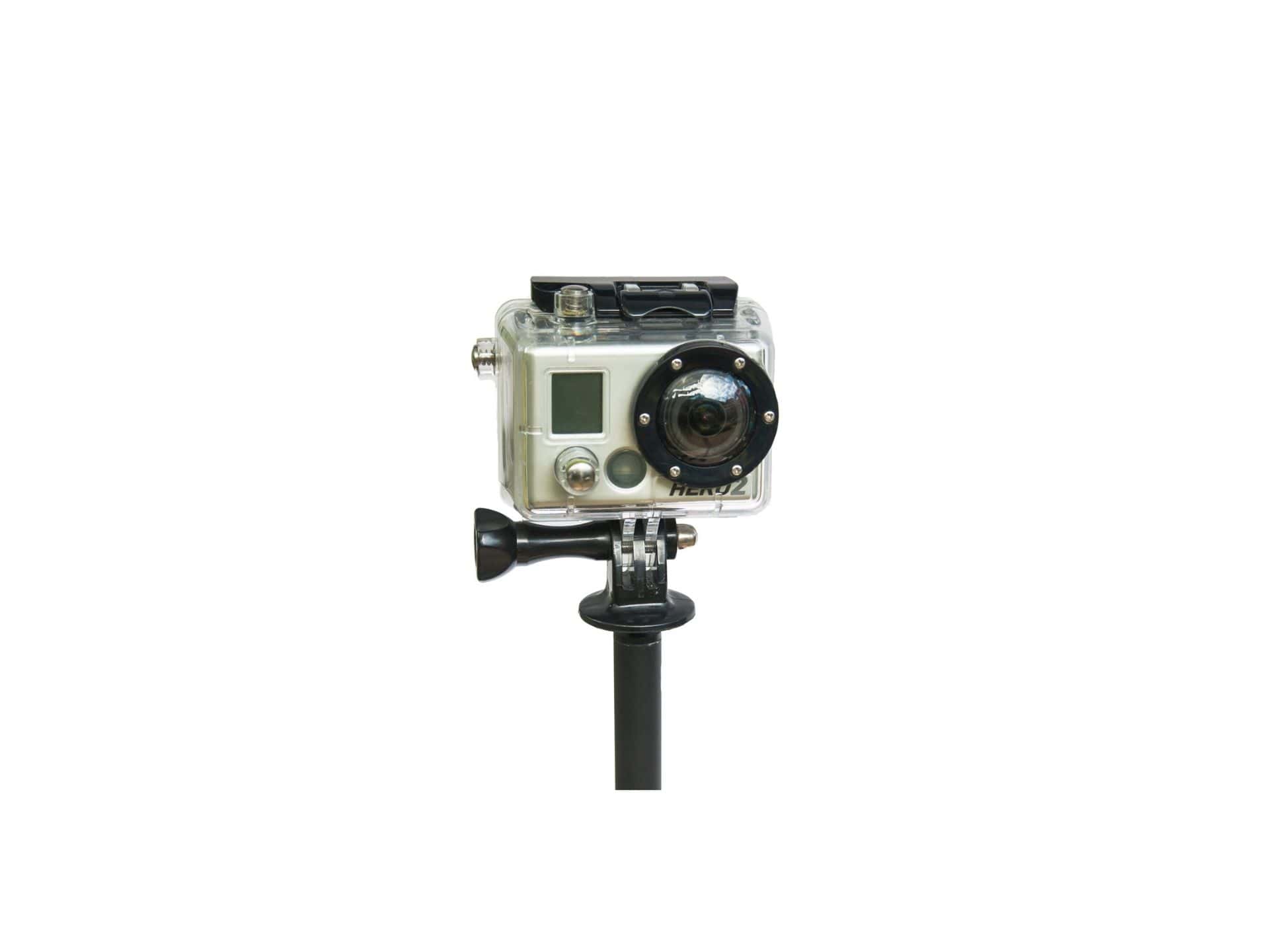 Pongoose Climber 700+ 3-in-1 Clip Stick - Happy Biner