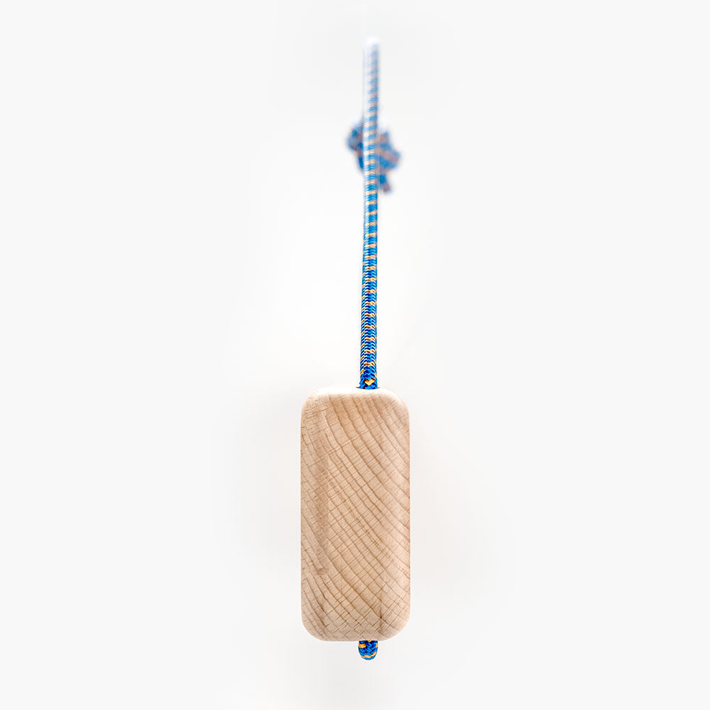 Lattice Training MX Edge Switch