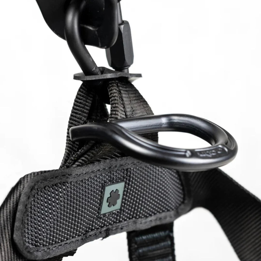 Ocun Thor Access 4Q Harness