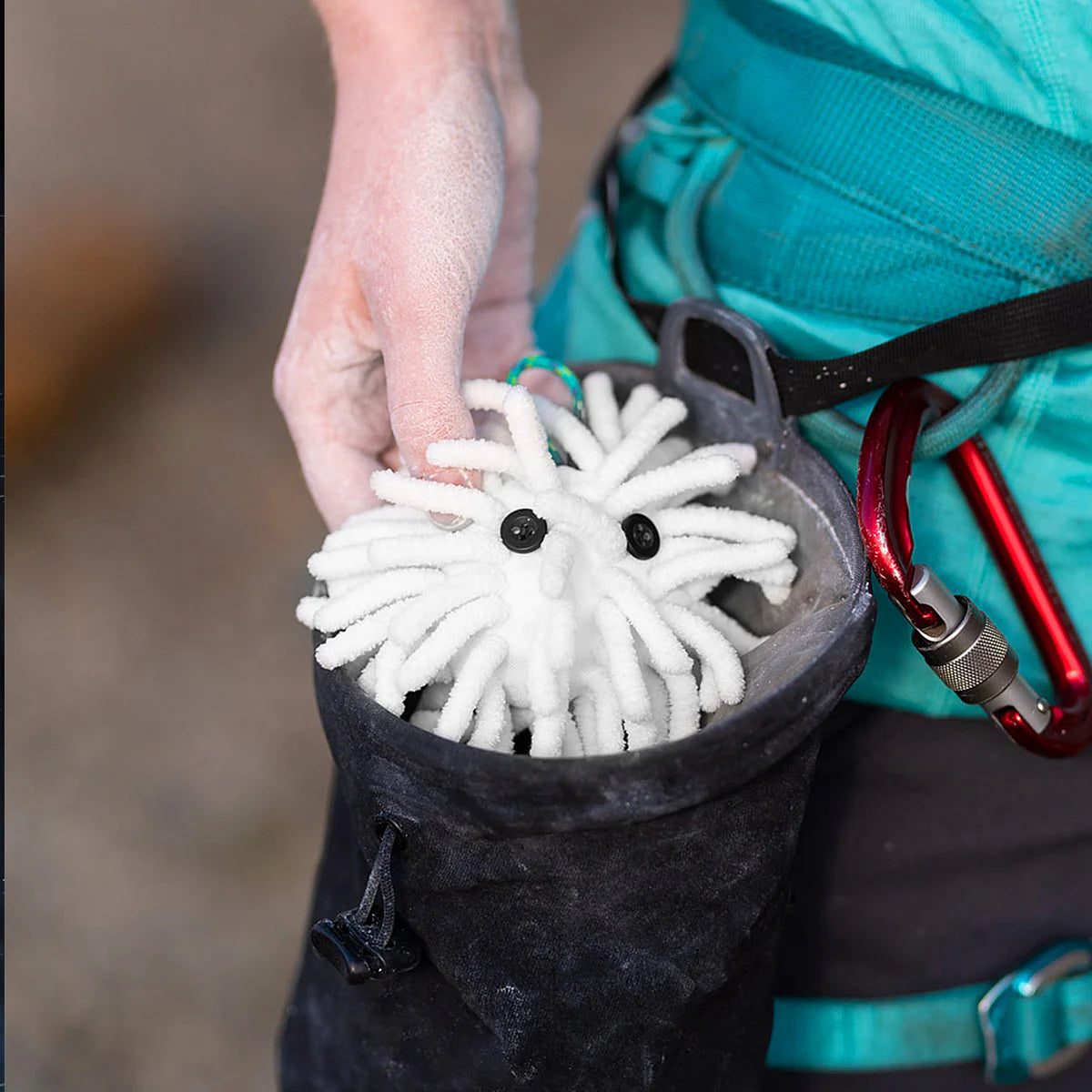 Midnight Lightning Chalktopus