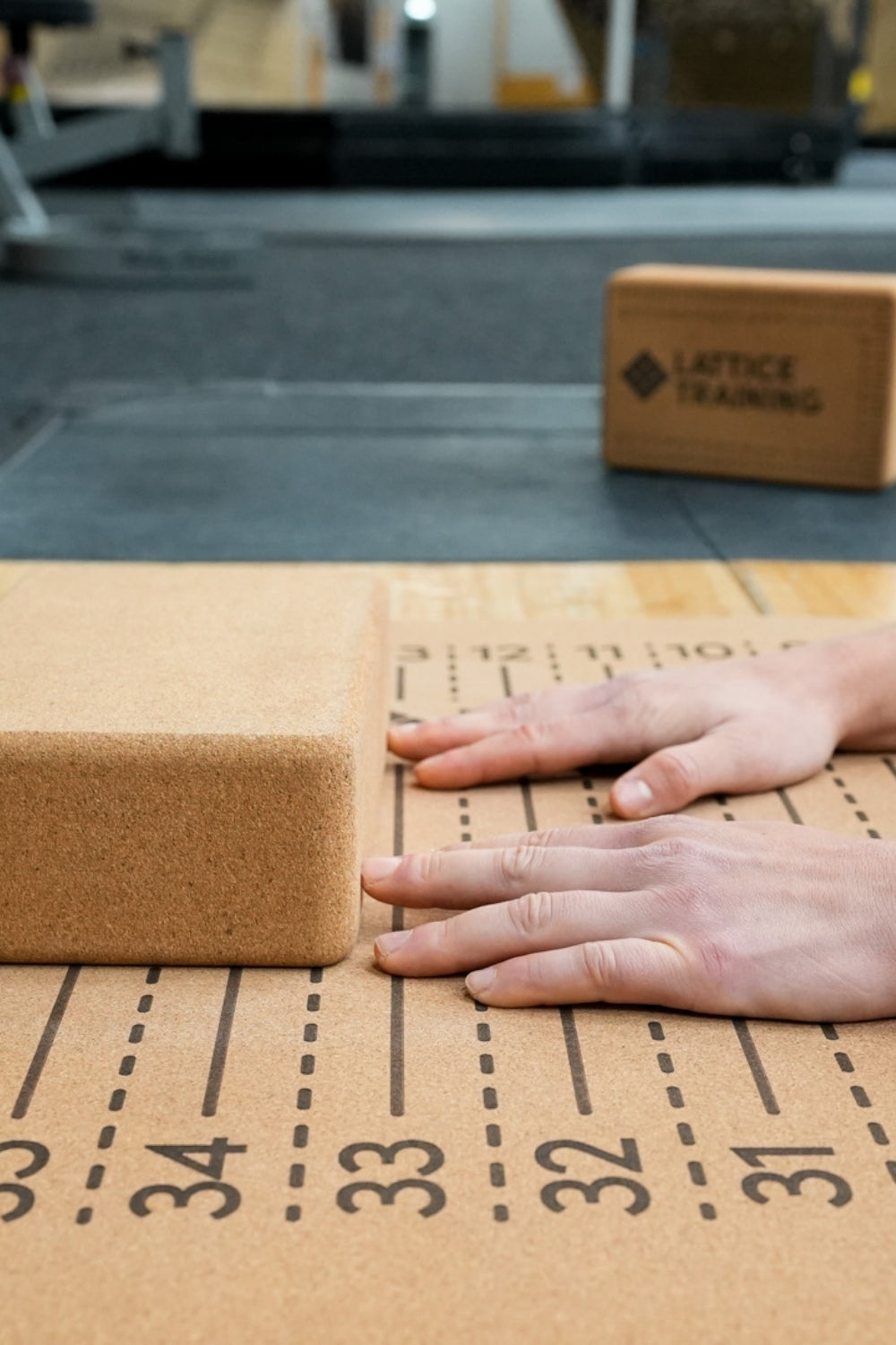 Lattice Training Flex Block