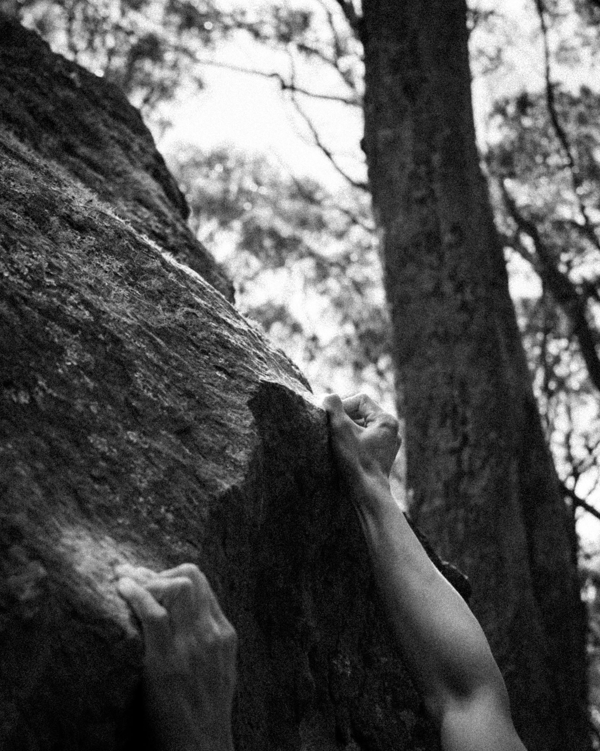 FiveFoot Shop - Striving For Progress Tee